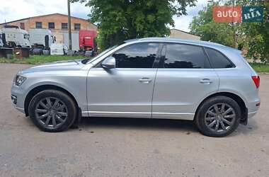 Внедорожник / Кроссовер Audi Q5 2010 в Шостке