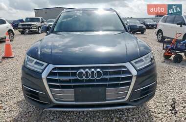 Внедорожник / Кроссовер Audi Q5 2019 в 