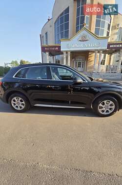 Внедорожник / Кроссовер Audi Q5 2017 в 