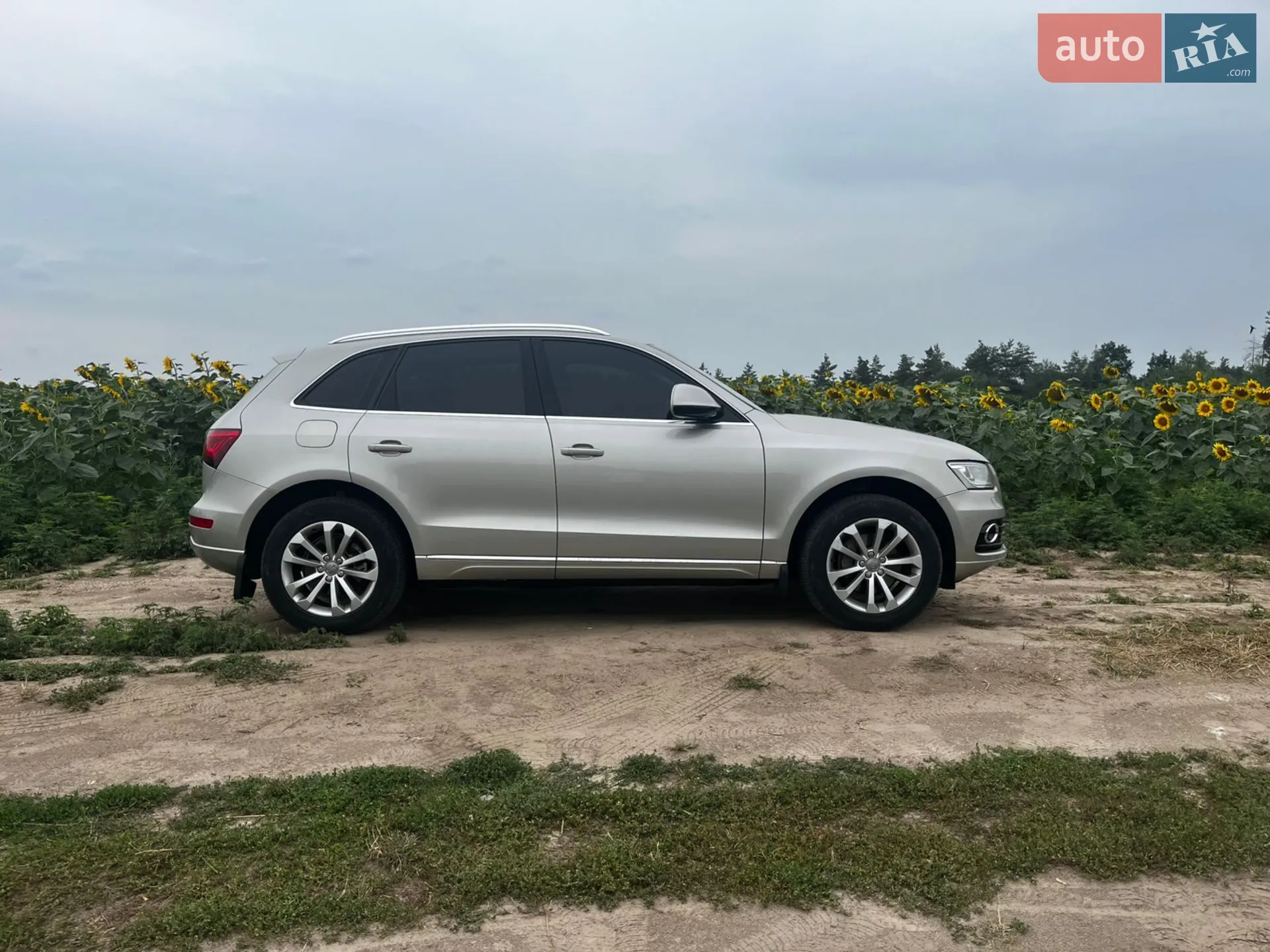 2016 Audi Q5 - фото 1