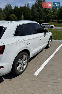 Внедорожник / Кроссовер Audi Q5 2019 в 