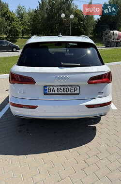 Внедорожник / Кроссовер Audi Q5 2019 в 