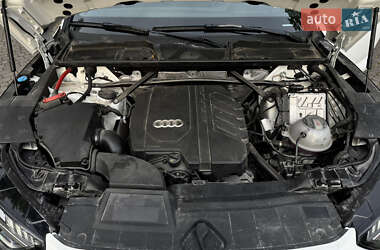Внедорожник / Кроссовер Audi Q5 2024 в 
