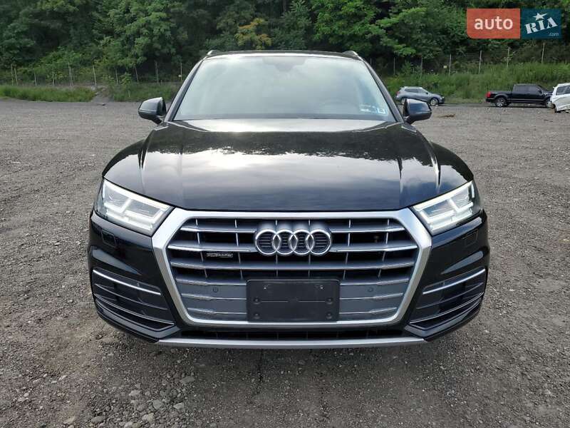 Внедорожник / Кроссовер Audi Q5 2019 в Киеве