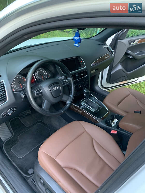 Внедорожник / Кроссовер Audi Q5 2010 в Судовой Вишне фото 14 Внедорожник / Кроссовер Audi Q5 2010 в Судовой Вишне