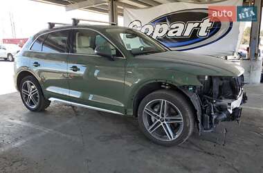 Внедорожник / Кроссовер Audi Q5 2024 в 