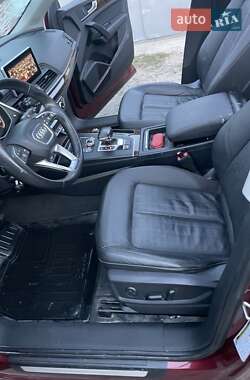 Внедорожник / Кроссовер Audi Q5 2017 в 