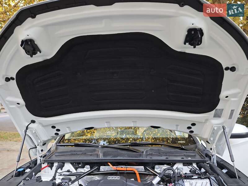 Внедорожник / Кроссовер Audi Q5 2020 в Николаеве фото 63 Внедорожник / Кроссовер Audi Q5 2020 в Николаеве