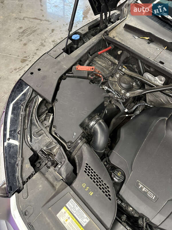 Внедорожник / Кроссовер Audi Q5 2019 в Киеве