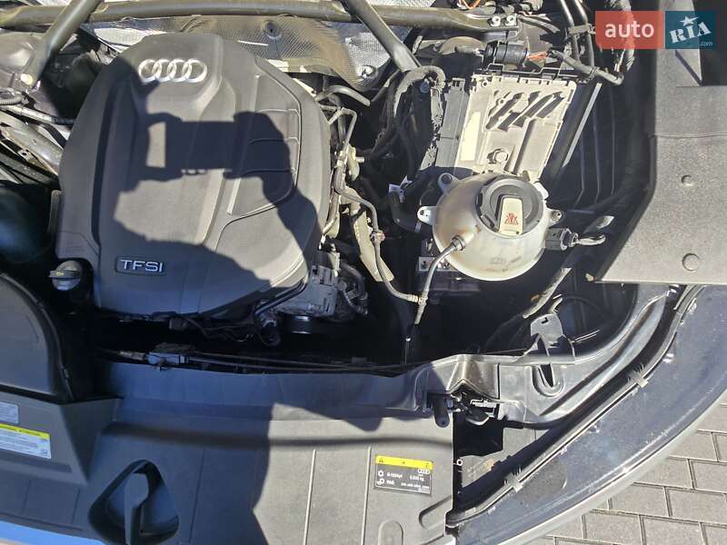 Внедорожник / Кроссовер Audi Q5 2019 в Луцке фото 31 Внедорожник / Кроссовер Audi Q5 2019 в Луцке