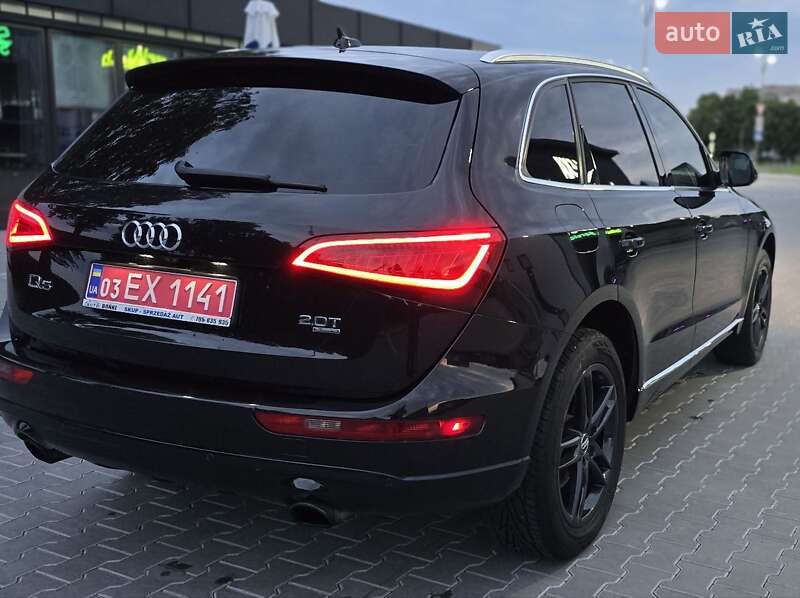 Внедорожник / Кроссовер Audi Q5 2013 в Владимире фото Внедорожник / Кроссовер Audi Q5 2013 в Владимире