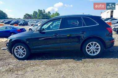 Внедорожник / Кроссовер Audi Q5 2011 в 