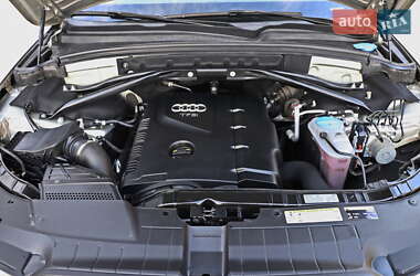 Внедорожник / Кроссовер Audi Q5 2017 в 