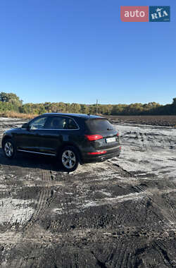 Внедорожник / Кроссовер Audi Q5 2013 в 