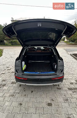 Внедорожник / Кроссовер Audi Q5 2021 в 