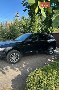 Внедорожник / Кроссовер Audi Q5 2010 в 