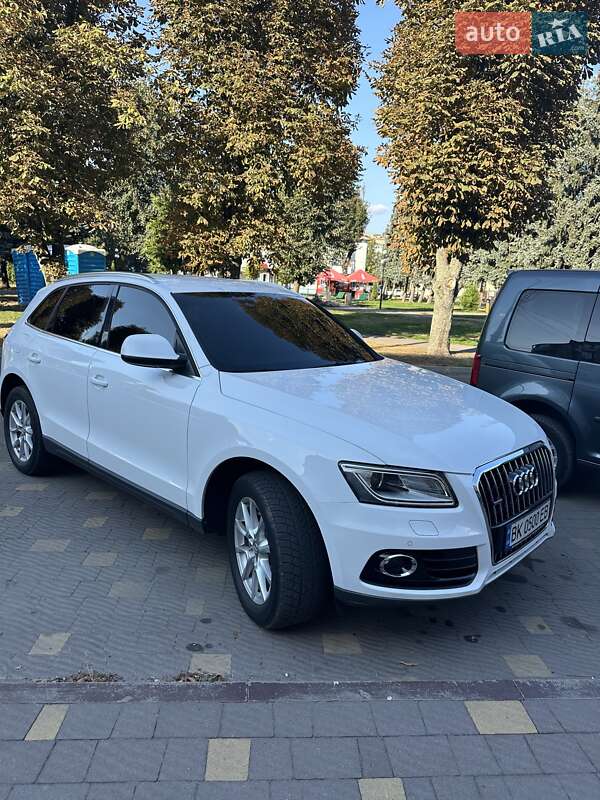 Audi Q5 2013