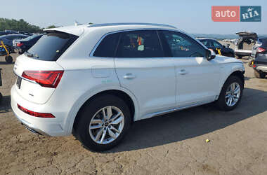 Внедорожник / Кроссовер Audi Q5 2023 в 