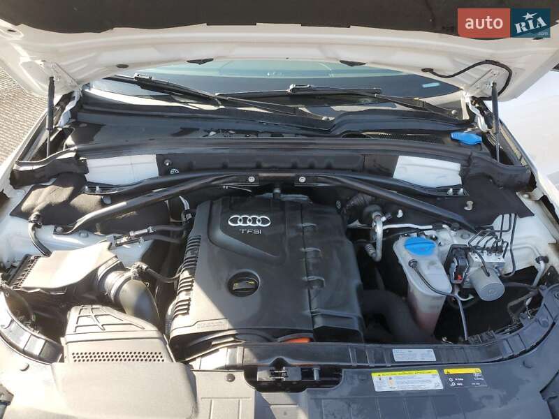 Внедорожник / Кроссовер Audi Q5 2019 в Виннице
