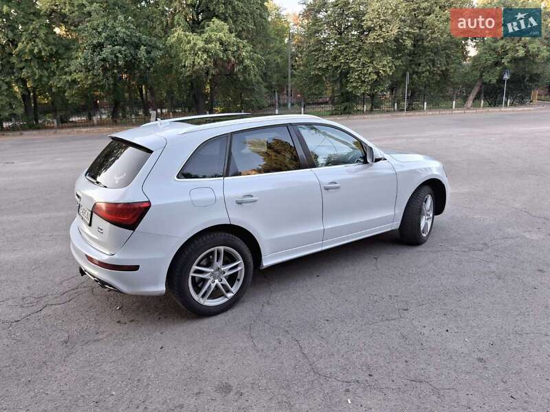 Внедорожник / Кроссовер Audi Q5 2016 в Кропивницком фото 34 Внедорожник / Кроссовер Audi Q5 2016 в Кропивницком