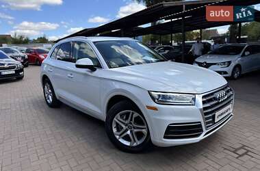 Внедорожник / Кроссовер Audi Q5 2019 в Кривом Роге