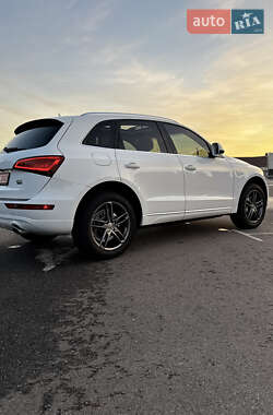 Позашляховик / Кросовер Audi Q5 2016 в 