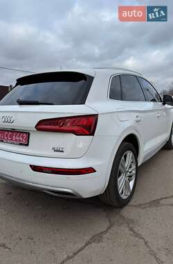 Внедорожник / Кроссовер Audi Q5 2018 в 