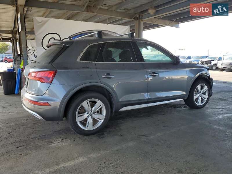 Внедорожник / Кроссовер Audi Q5 2019 в Львове фото 3 Внедорожник / Кроссовер Audi Q5 2019 в Львове