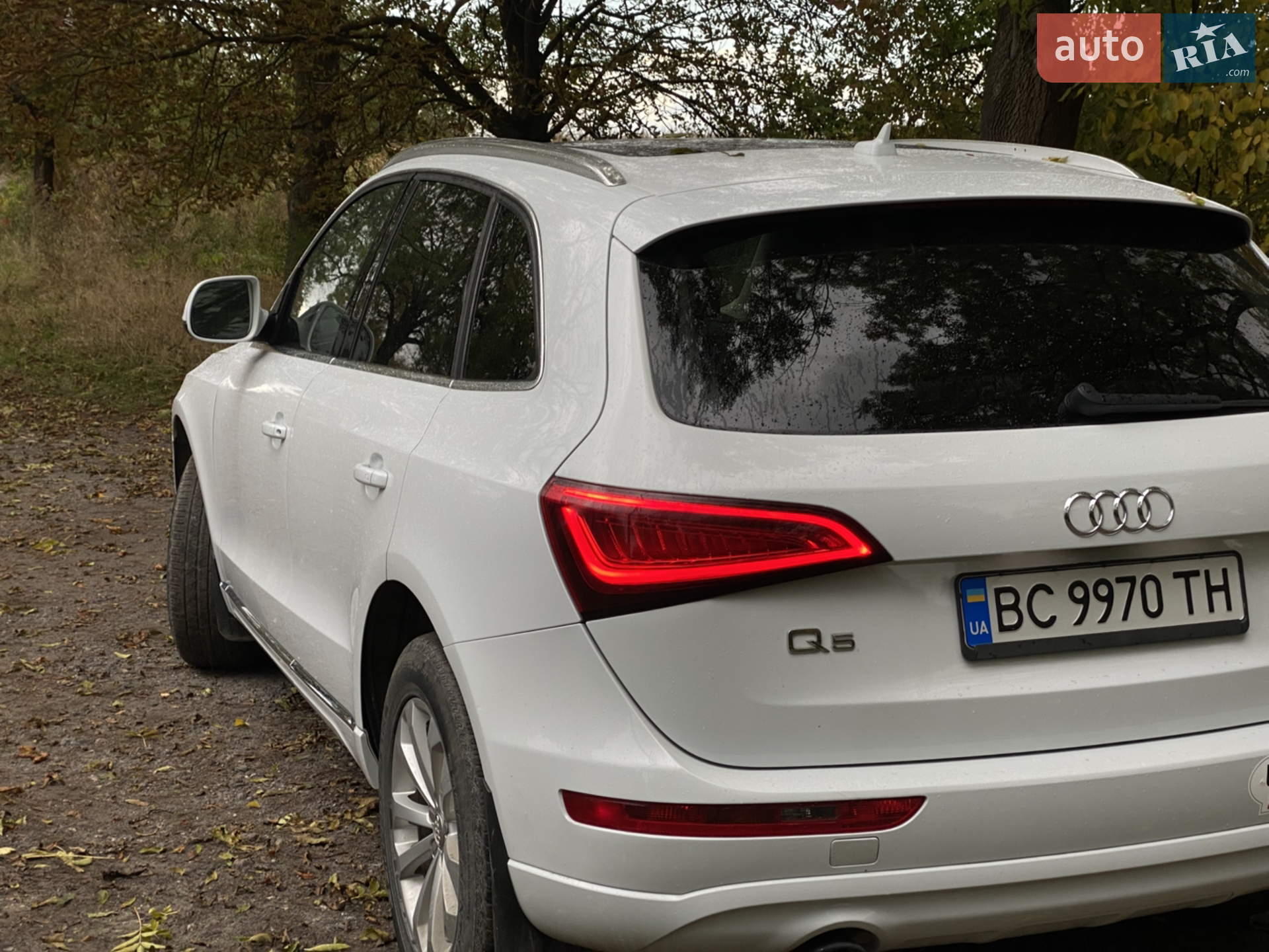 2014 Audi Q5 - мініатюра 4