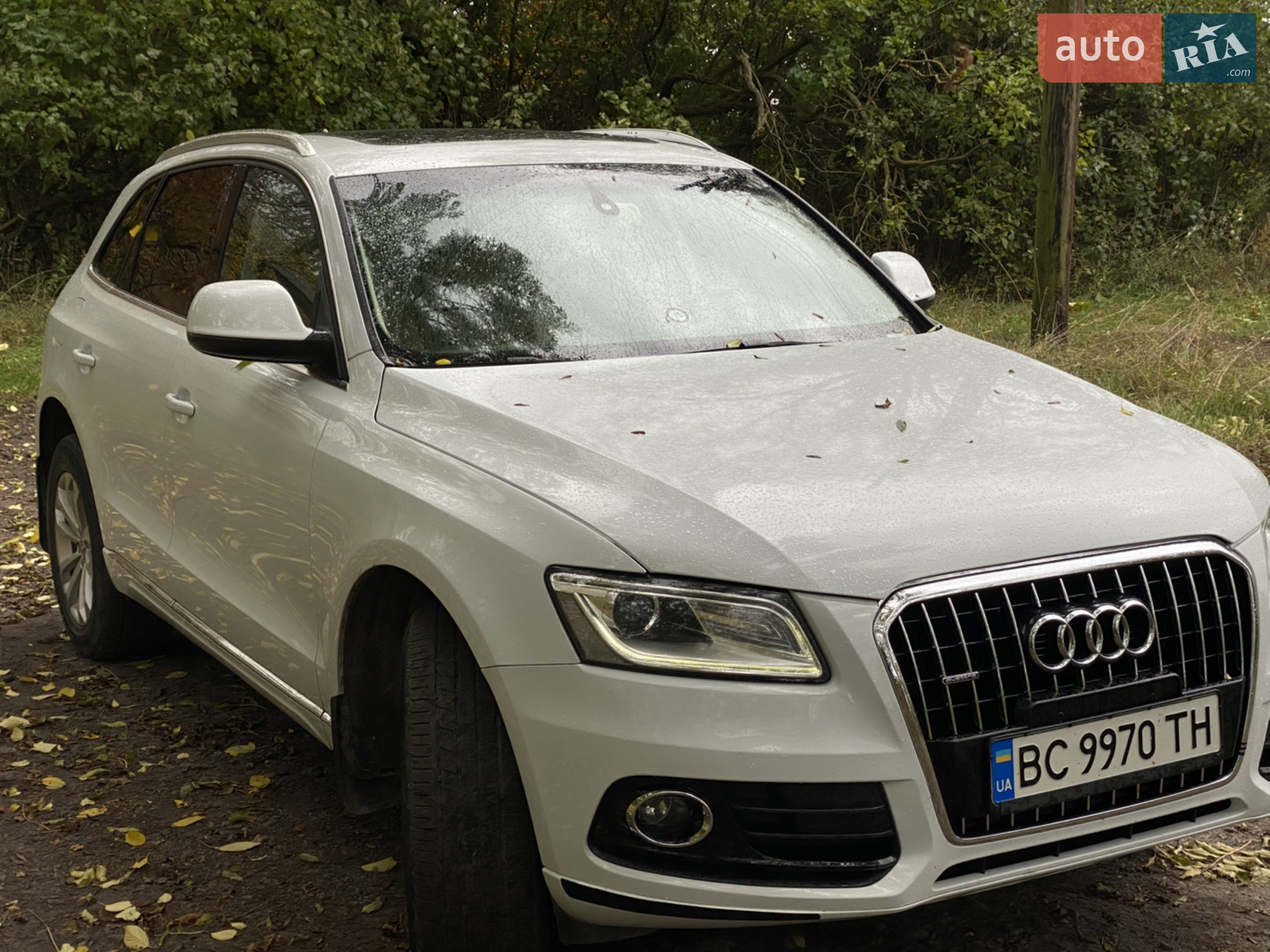 2014 Audi Q5 - мініатюра 2