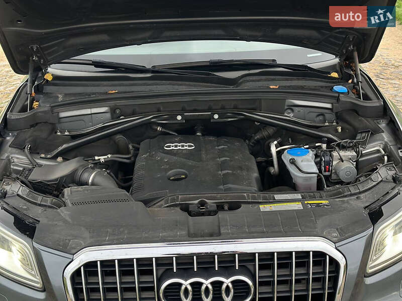 Внедорожник / Кроссовер Audi Q5 2013 в Томашполе фото 16 Внедорожник / Кроссовер Audi Q5 2013 в Томашполе