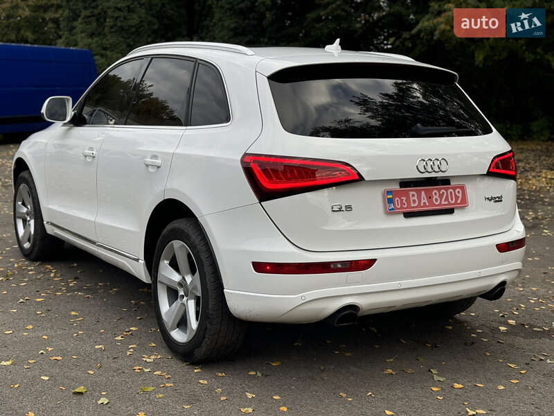 Внедорожник / Кроссовер Audi Q5 2012 в Дубно фото 14 Внедорожник / Кроссовер Audi Q5 2012 в Дубно