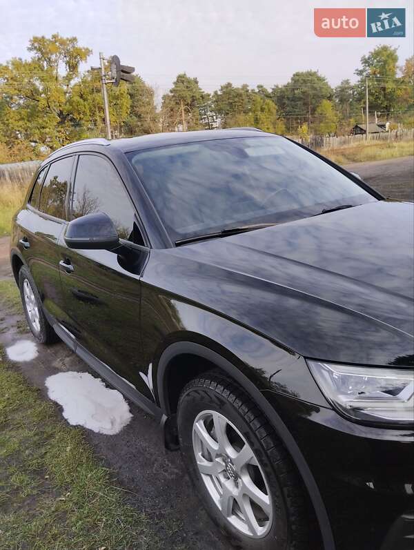 Внедорожник / Кроссовер Audi Q5 2017 в Сосновке фото 3 Внедорожник / Кроссовер Audi Q5 2017 в Сосновке