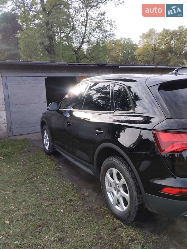 Внедорожник / Кроссовер Audi Q5 2017 в Сосновке фото 6 Внедорожник / Кроссовер Audi Q5 2017 в Сосновке