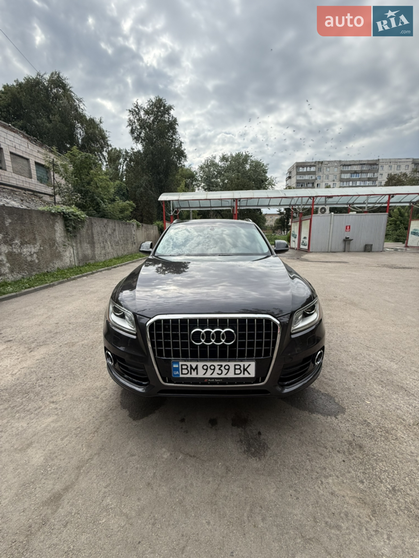 2013 Audi Q5 - мініатюра 4