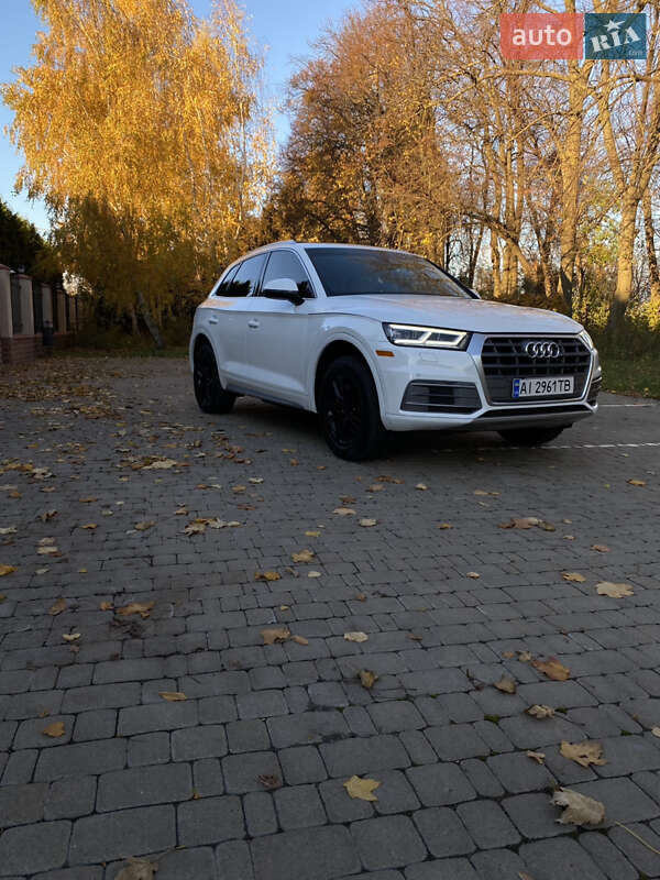 Внедорожник / Кроссовер Audi Q5 2020 в Василькове фото 15 Внедорожник / Кроссовер Audi Q5 2020 в Василькове