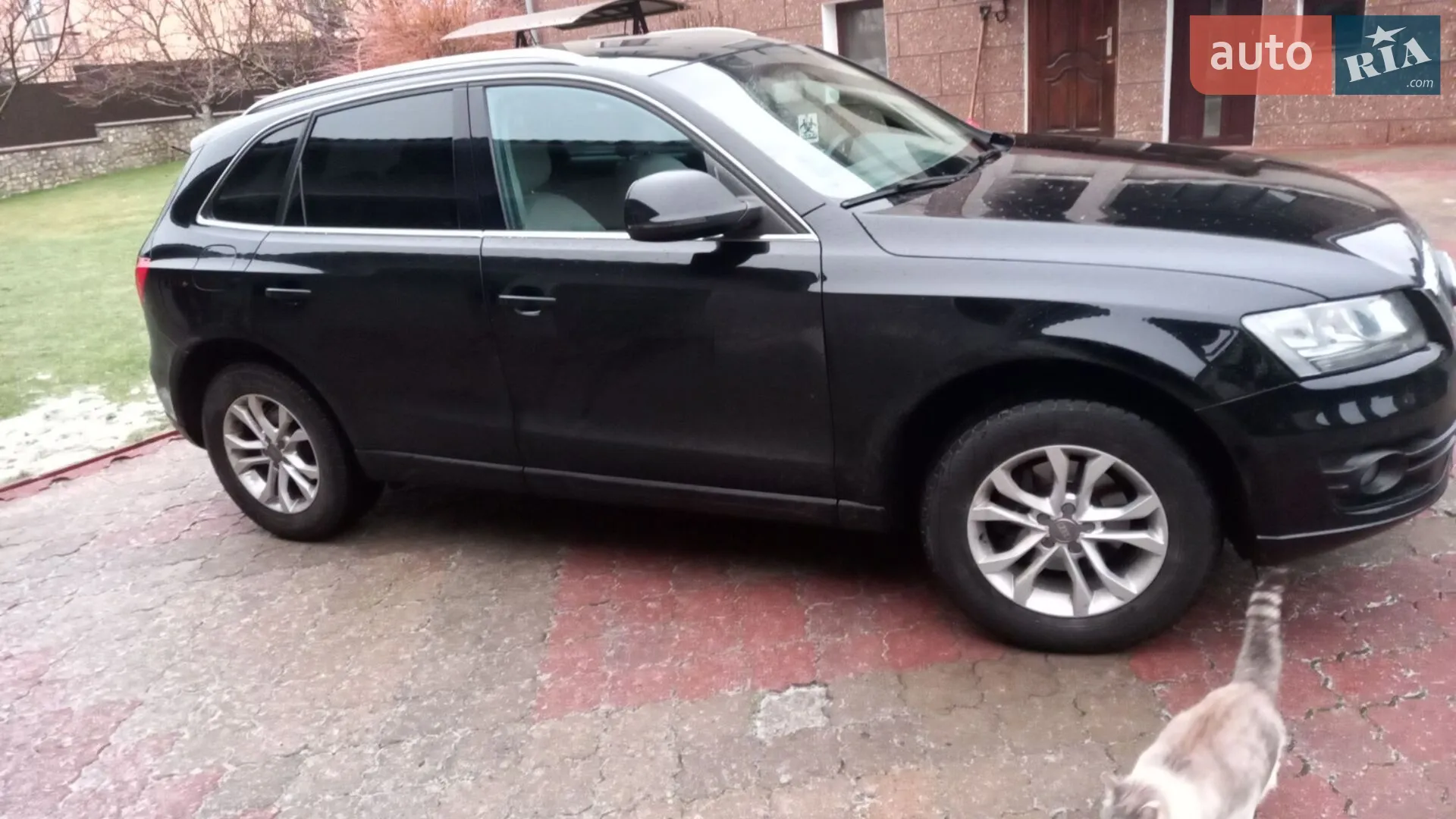 2010 Audi Q5 - мініатюра 3