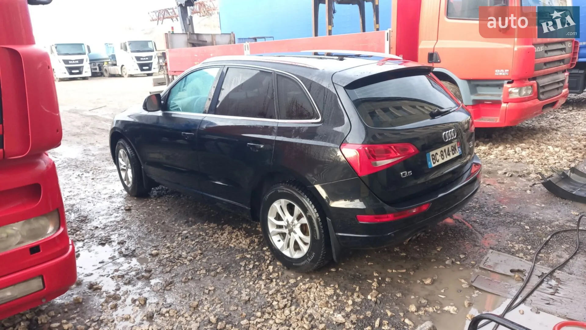 2010 Audi Q5 - мініатюра 6