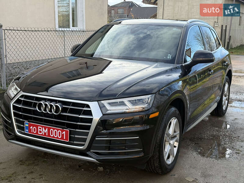 Внедорожник / Кроссовер Audi Q5 2019 в Жидачове
