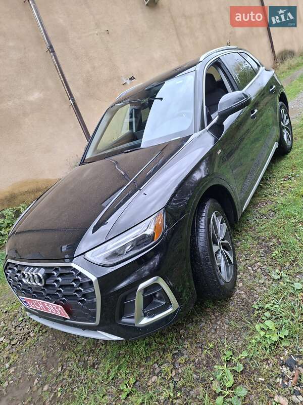 Внедорожник / Кроссовер Audi Q5 2023 в Ивано-Франковске