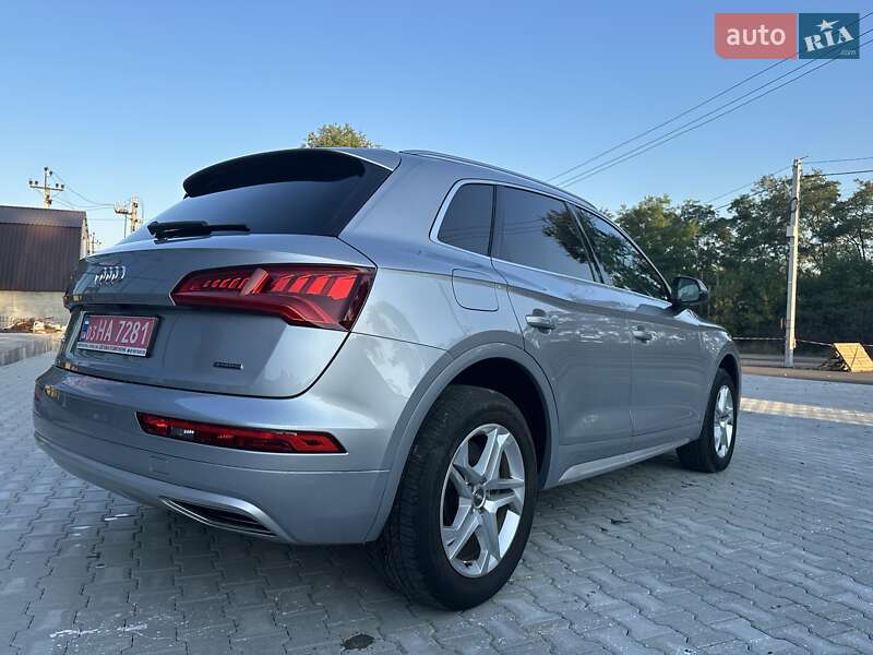 Внедорожник / Кроссовер Audi Q5 2019 в Киеве
