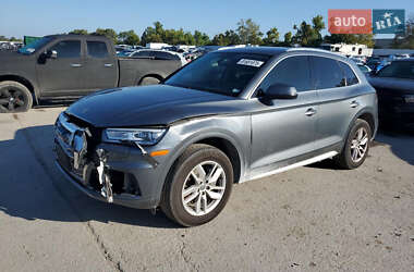 Внедорожник / Кроссовер Audi Q5 2019 в Львове