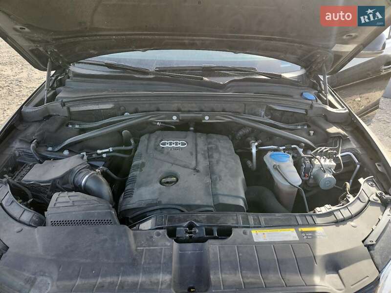 Внедорожник / Кроссовер Audi Q5 2014 в Львове фото 13 Внедорожник / Кроссовер Audi Q5 2014 в Львове