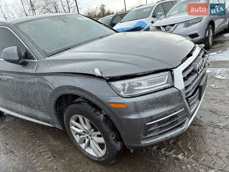 Внедорожник / Кроссовер Audi Q5 2019 в Львове фото 5 Внедорожник / Кроссовер Audi Q5 2019 в Львове
