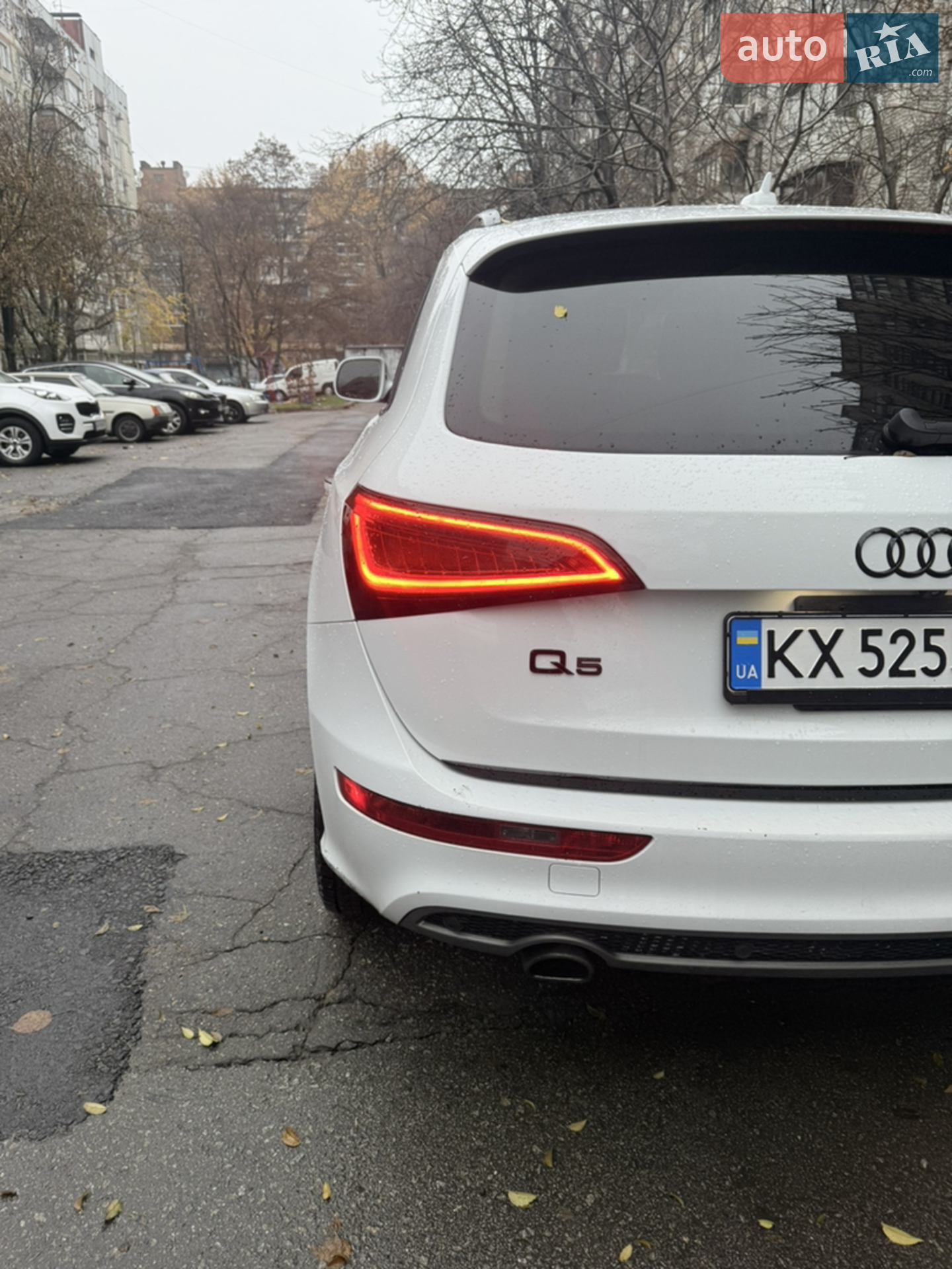 2014 Audi Q5 - мініатюра 2