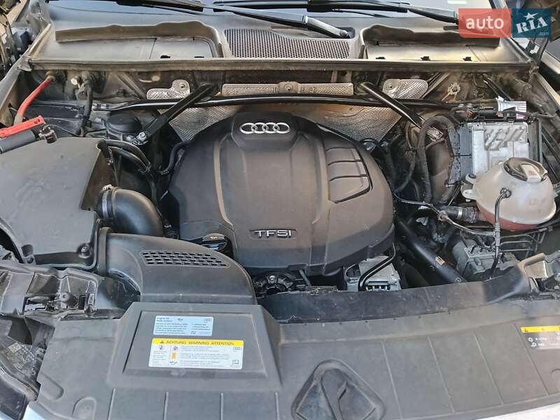 Внедорожник / Кроссовер Audi Q5 2018 в Кривом Роге фото 19 Внедорожник / Кроссовер Audi Q5 2018 в Кривом Роге