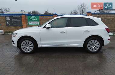 Позашляховик / Кросовер Audi Q5 2013 в Золочеві
