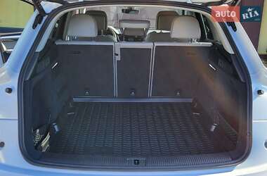 Внедорожник / Кроссовер Audi Q5 2023 в Виннице