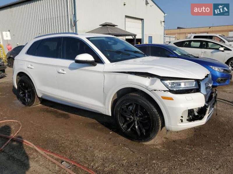 Позашляховик / Кросовер Audi Q5 2019 в Стрию