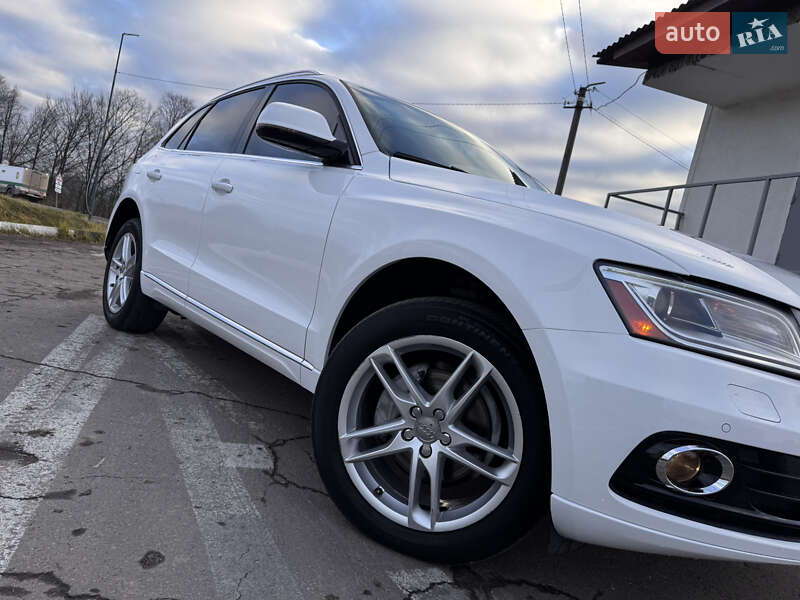 Внедорожник / Кроссовер Audi Q5 2016 в Дрогобыче фото 19 Внедорожник / Кроссовер Audi Q5 2016 в Дрогобыче